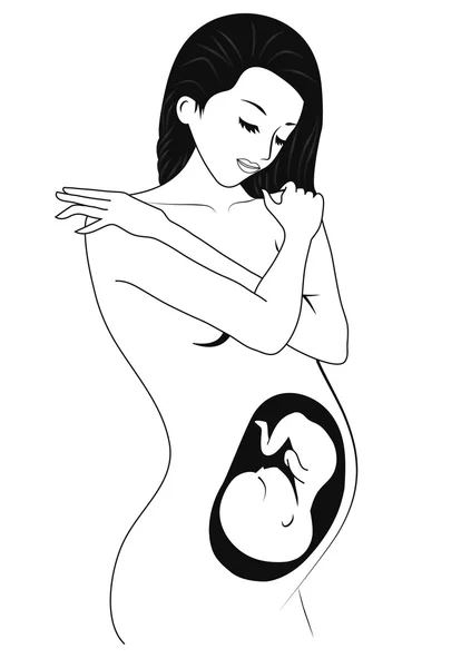 Güzel hamile kadın. — Stok Vektör