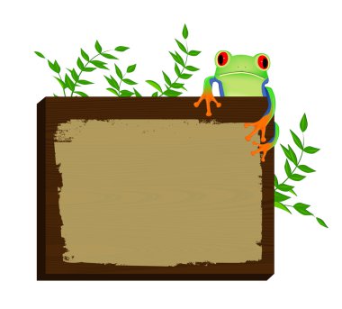 Red eyed tree frog sitting on wood background clipart