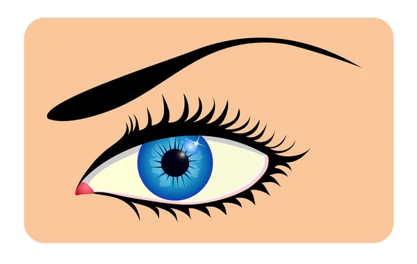 Närbild på vackra ögon — Stock vektor