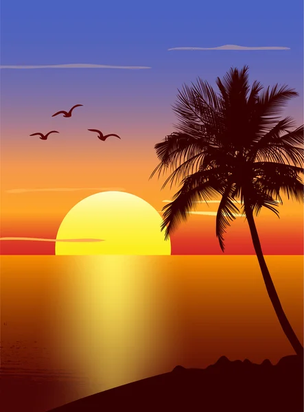 Coucher de soleil avec silhouette palmier — Image vectorielle