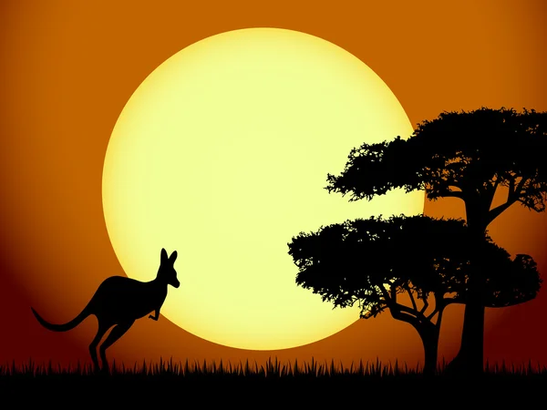 Kanguru gün batımında — Stok Vektör