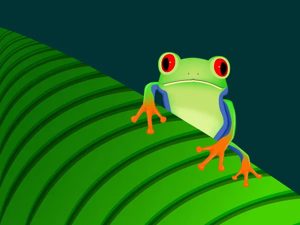 Red eyed tree frog zittend op blad — Stockvector