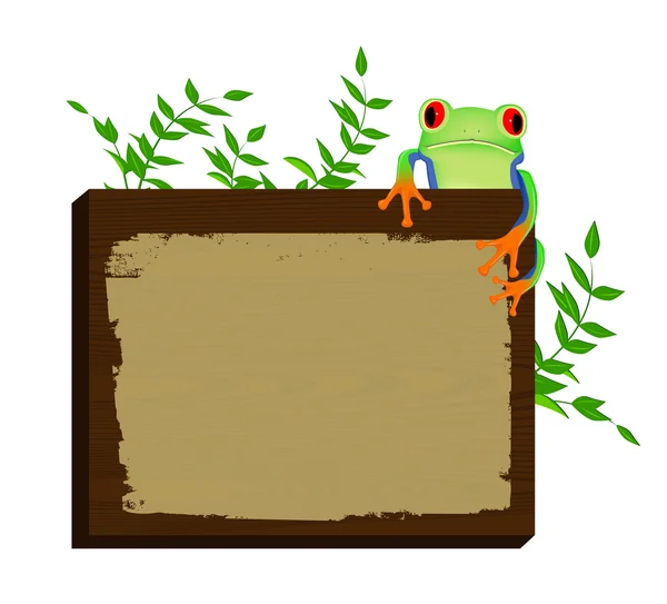 Czerwony eyed żaba siedzi na tle drewna — Wektor stockowy