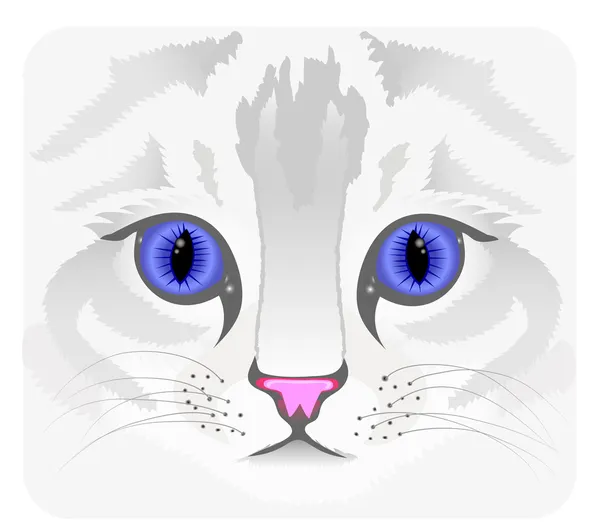 Närbild på katt ansikte — Stock vektor
