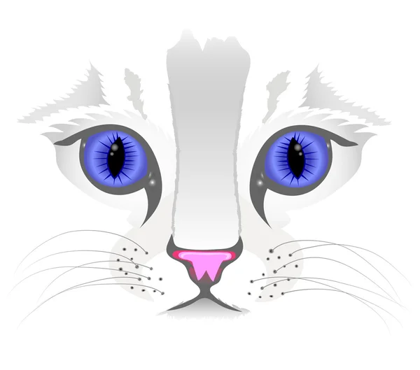 Detail tváře kočka — Stockový vektor