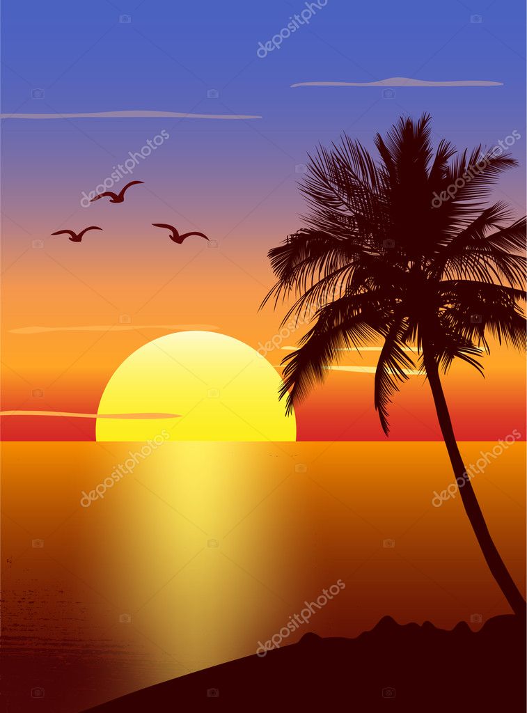 Sunset With Palmtree Silhouette Stock Vector C Pixxart 9662243