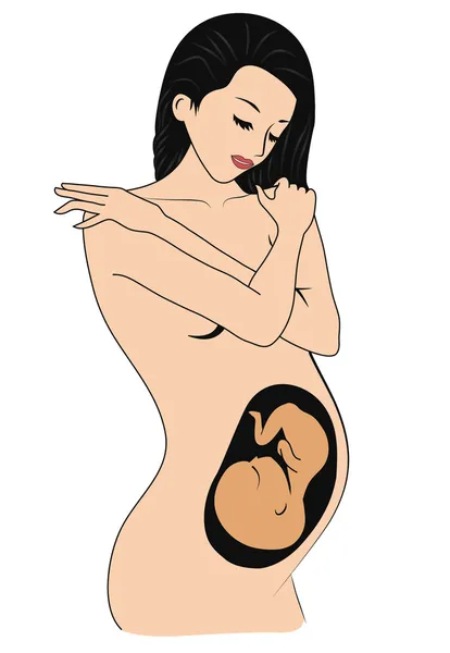 Piękna kobieta w ciąży — Wektor stockowy