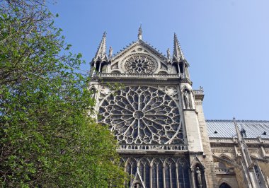 Bahar, notre dame de paris