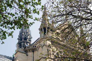 Bahar, notre dame de paris