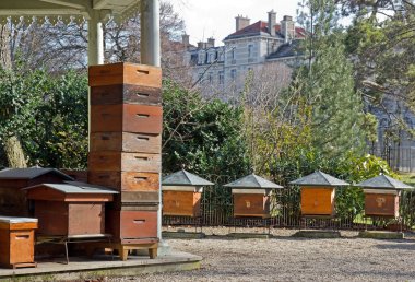 Hives in the city clipart