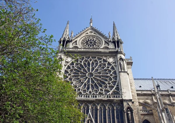 Primavera en Notre Dame de Paris — Foto de Stock