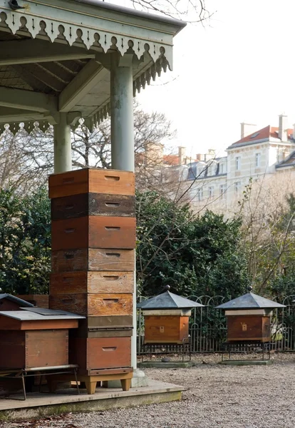 Hives in the city — Stock Photo, Image
