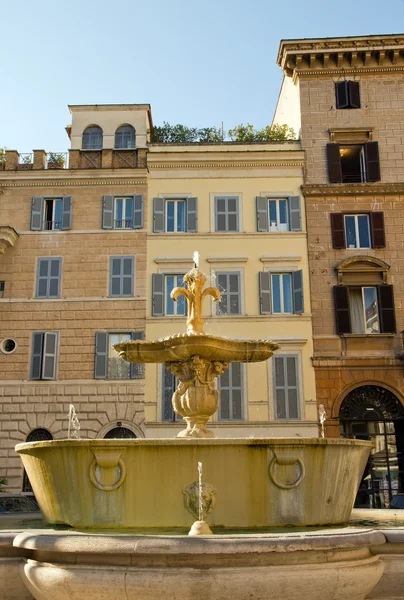 Brunnen piazza farnese (rom italien) — Stockfoto