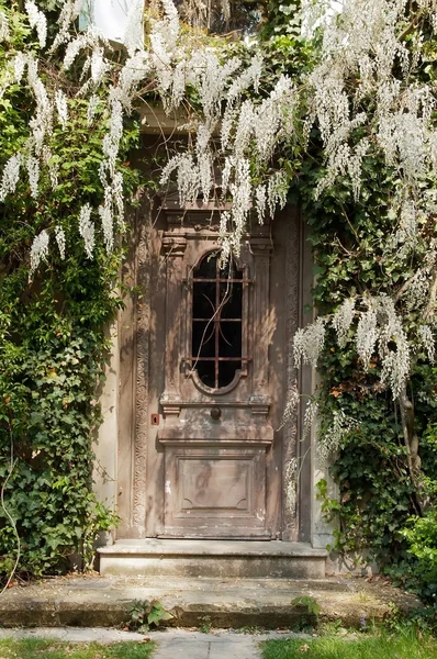 Porta na wisteria — Fotografia de Stock