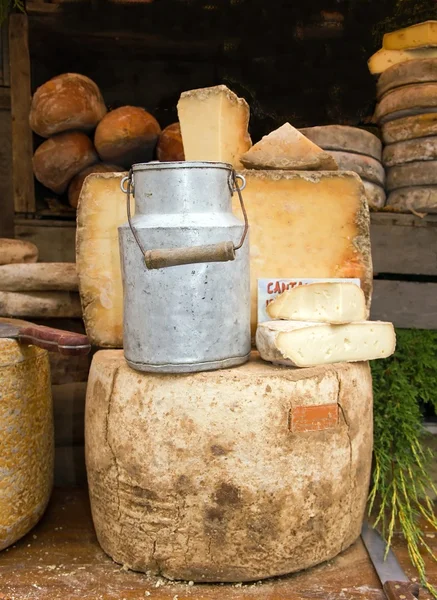 Régi tej jug és a sajt — Stock Fotó