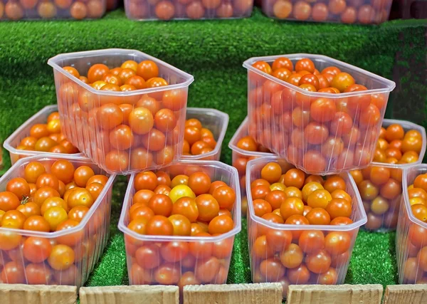 stock image Display of cocktail tomatoes