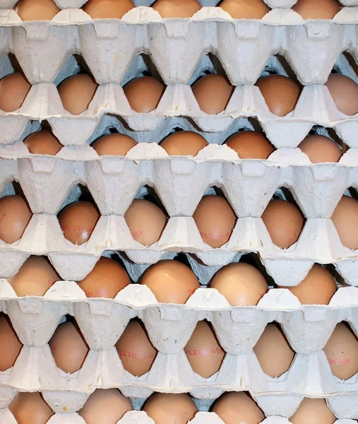 stock image Stock of eggs