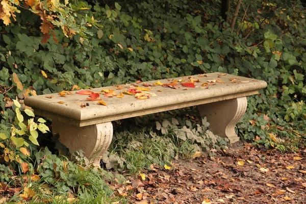 Bench in the autumn — Stock Photo, Image