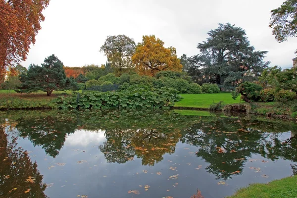Осенний пейзаж, природа отражения в пруду — стоковое фото