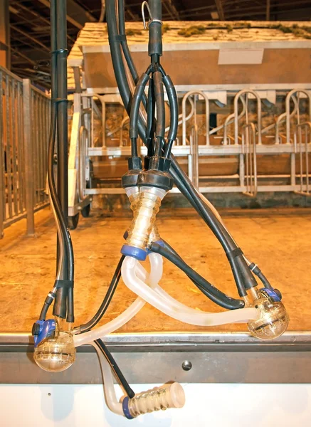 Automatic milking machine — Stock Photo, Image