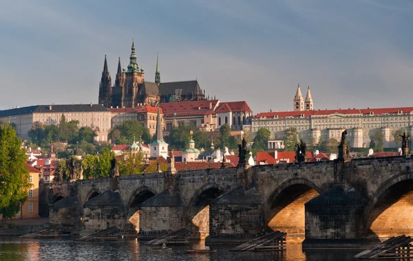 Ség van a Károly-híd és a prágai vár Stock Kép