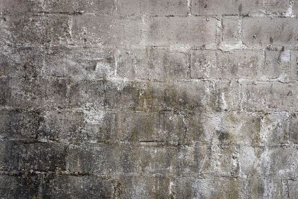 Γκρι grunge τσιμεντένιο τείχος — Φωτογραφία Αρχείου