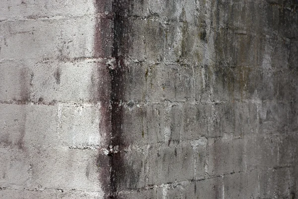 Canto da parede de cimento — Fotografia de Stock