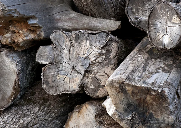 Heap of ancient logs — Stock Photo, Image