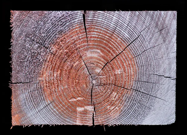 Tvärsnitt av rektangulära trä — Stockfoto