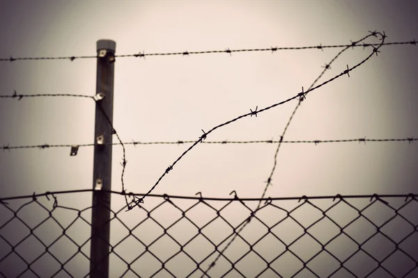 Prikkeldraad en ketting link hek — Stockfoto