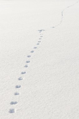 Footprints in snow clipart