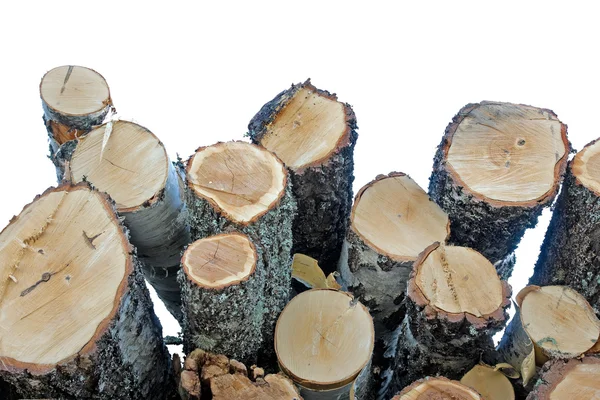 Stack of logs — Stock Photo, Image
