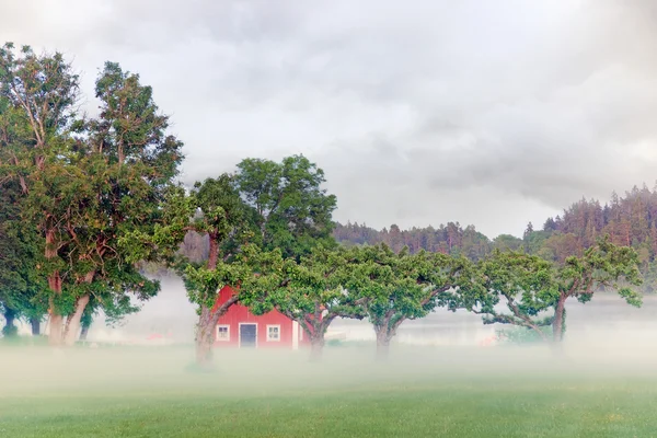 Rode huis in mist — Stockfoto
