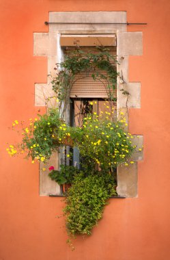 Çiçekli pencere