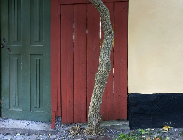 Ağaç ve çit — Stok fotoğraf