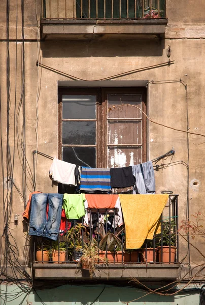 stock image Washed clothes