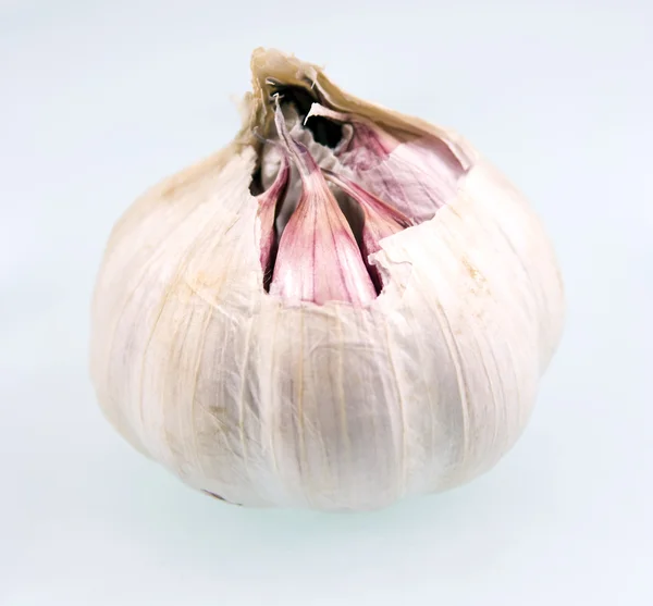 stock image Garlic