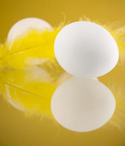 Eier und gelbe Federn — Stockfoto