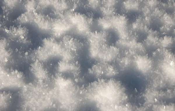 Detail sněhu — Stock fotografie