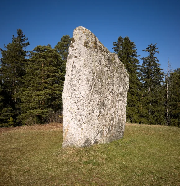 Стоячи камінь — стокове фото