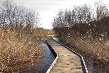 Tahta yol