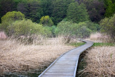 Wooden footpath clipart