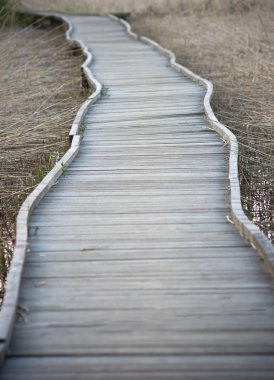 Wooden footpath clipart