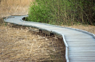 Wooden footpath clipart