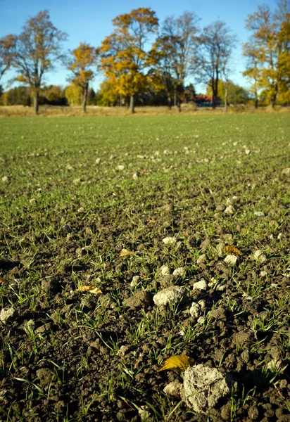 Campo arado en otoño — Foto de Stock