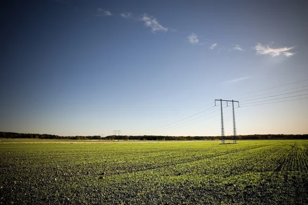 Elektriciteitspyloon op het veld — Stockfoto