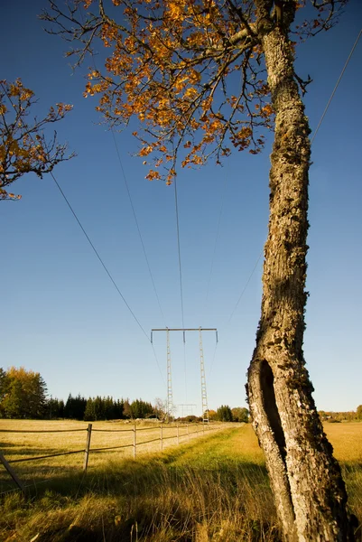 Electricity pylon in the fall — Stock Photo, Image