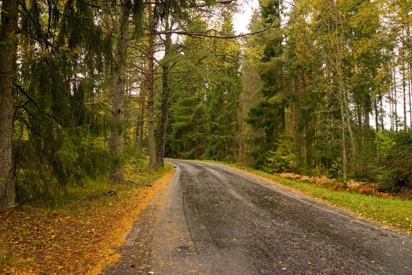 Estrada do país no outono — Fotografia de Stock