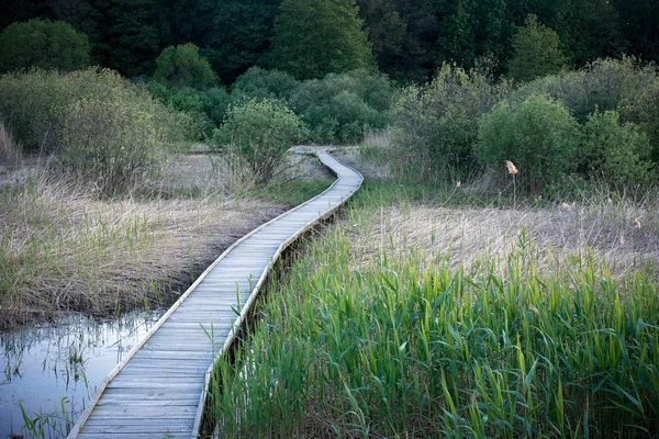 Chemin en bois dans un marais — Photo