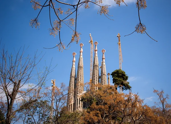 Sagrada Familia